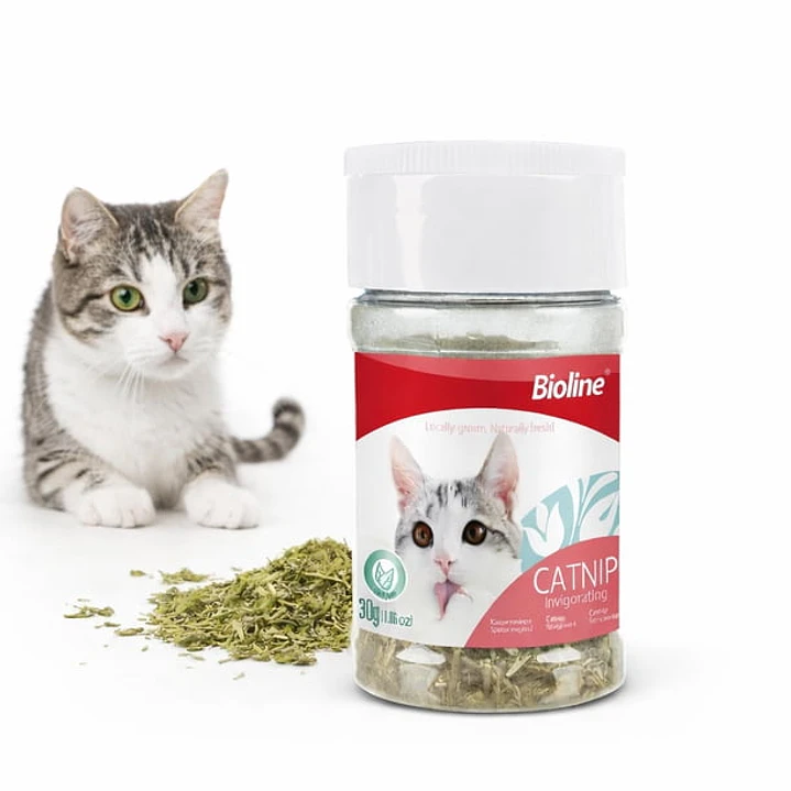 Catnip Seco Pote 30 g Bioline 2