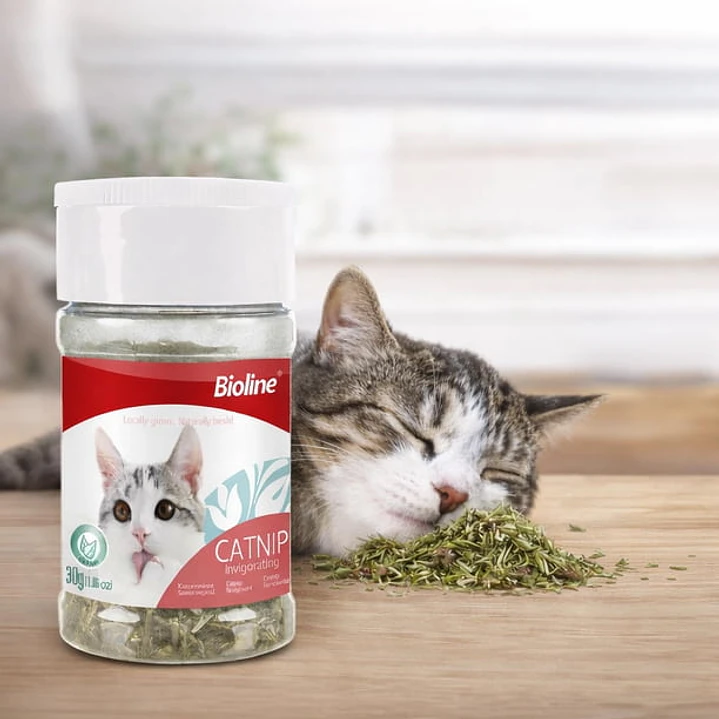 Catnip Seco Pote 30 g Bioline 1