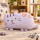 Peluche Almohada Gato Gris - Miniatura 1
