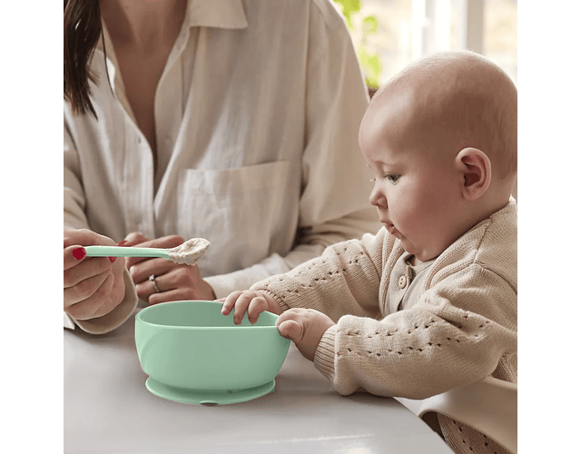 Bowl de Silicona Con Ventosa Everyday Baby