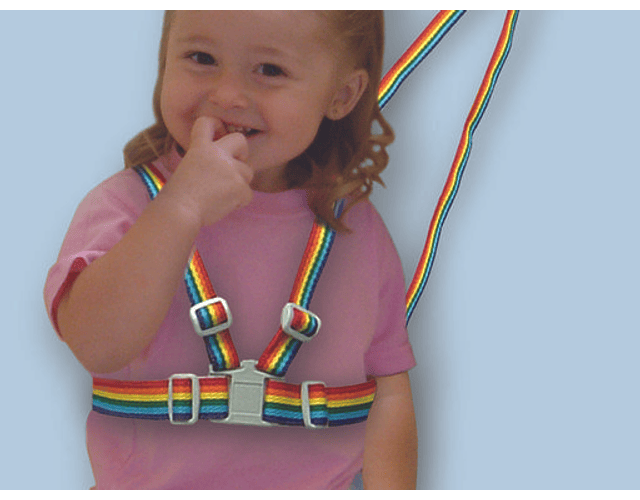 Arnes para niño Multicolor Dreambaby
