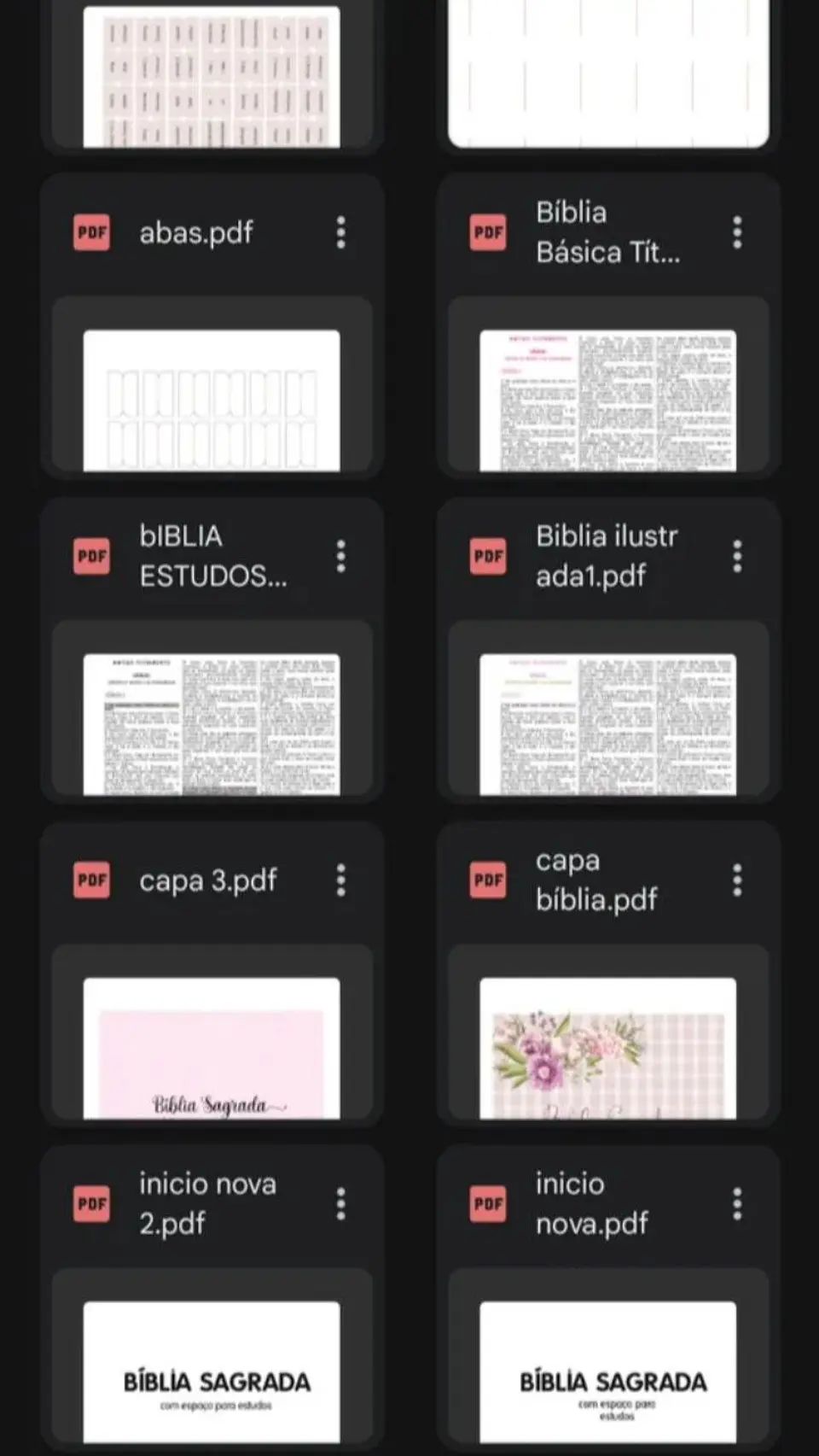 Arquivo Digital 2 Bíblias Anote Ilustradas com Abas - encaderna com amor 3