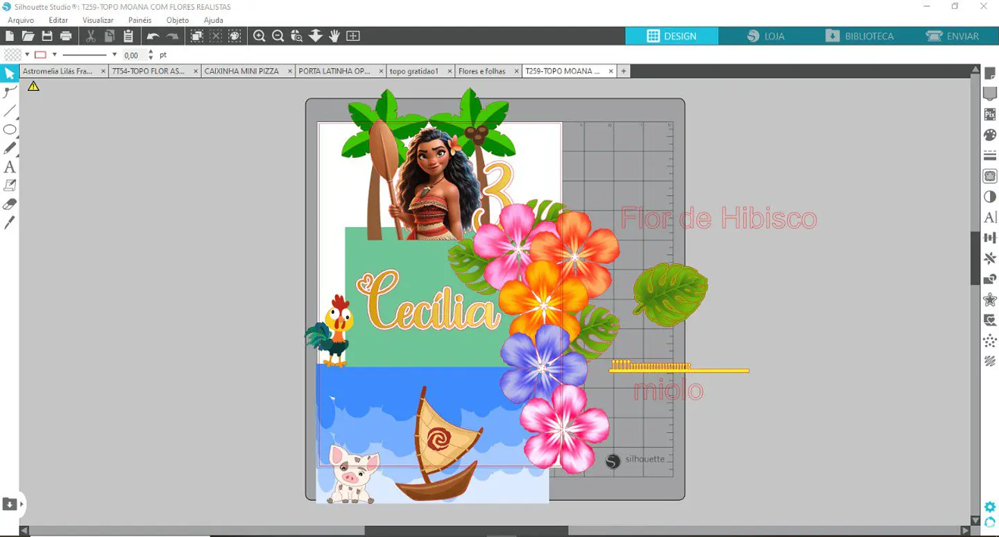 Arquivo Topo Moana Com Flores Realistas - Studio 2