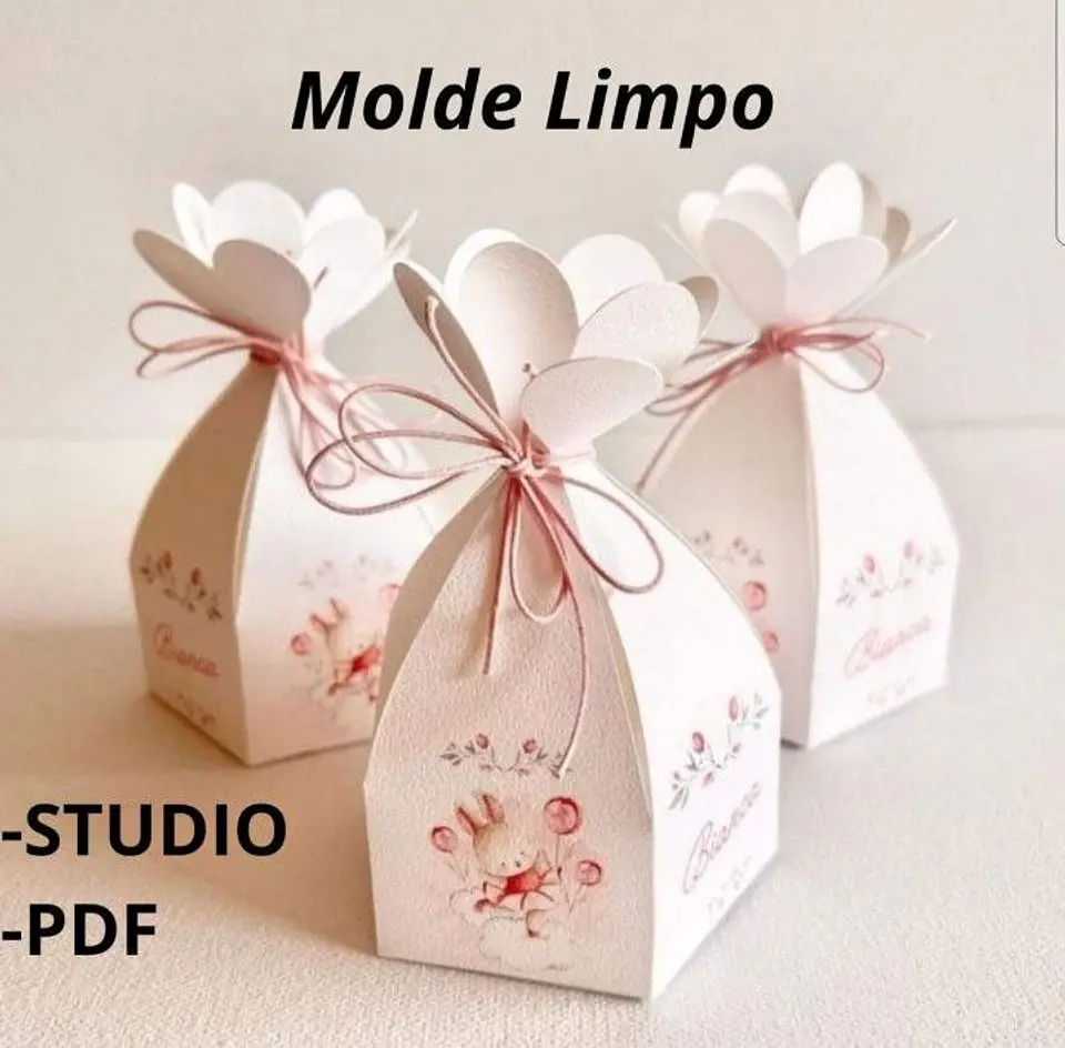 Arquivo Caixa Fechamento Flor-box Dividida - Pdf e Studio 1