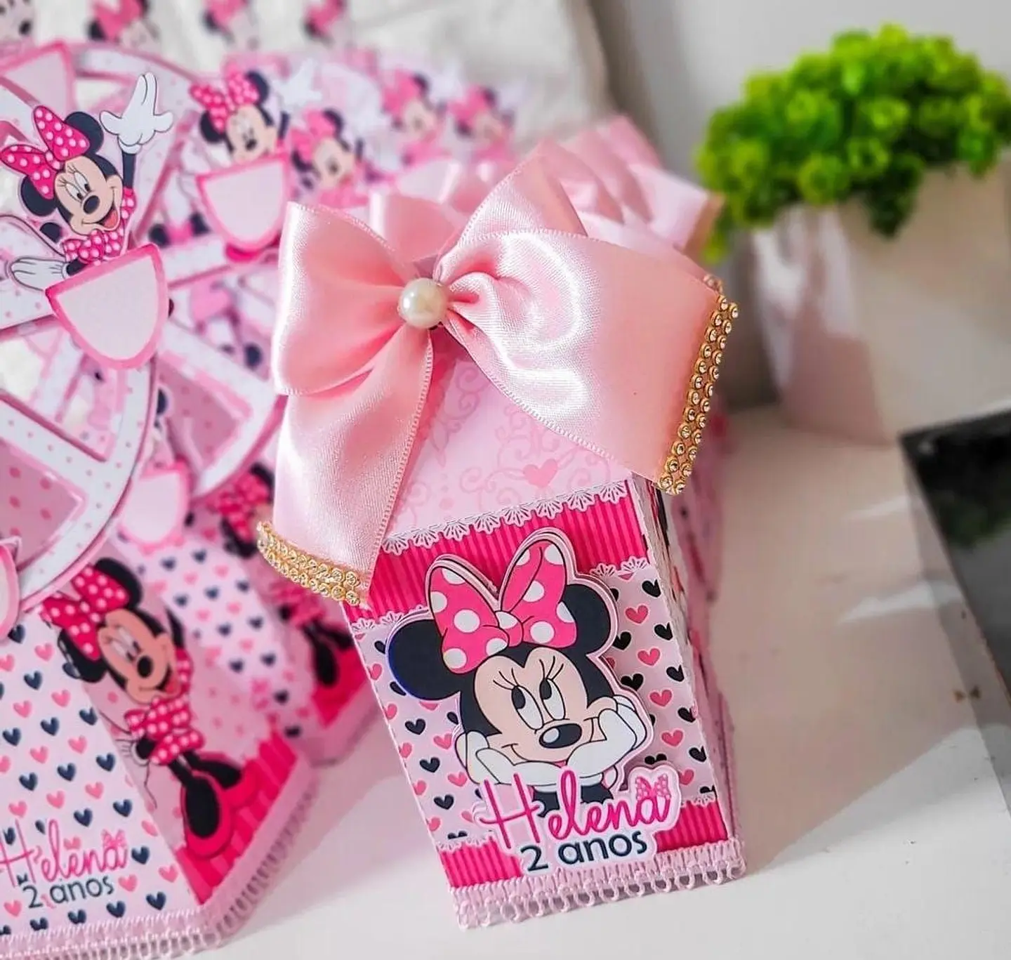 Arquivo Minnie Rosa 4