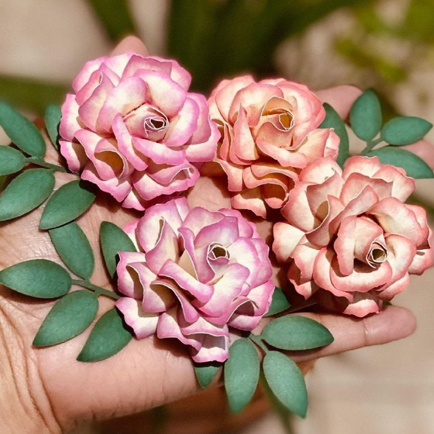 Arquivo Rosa artística Aurora Para Topo