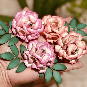 Arquivo Rosa artística Aurora Para Topo