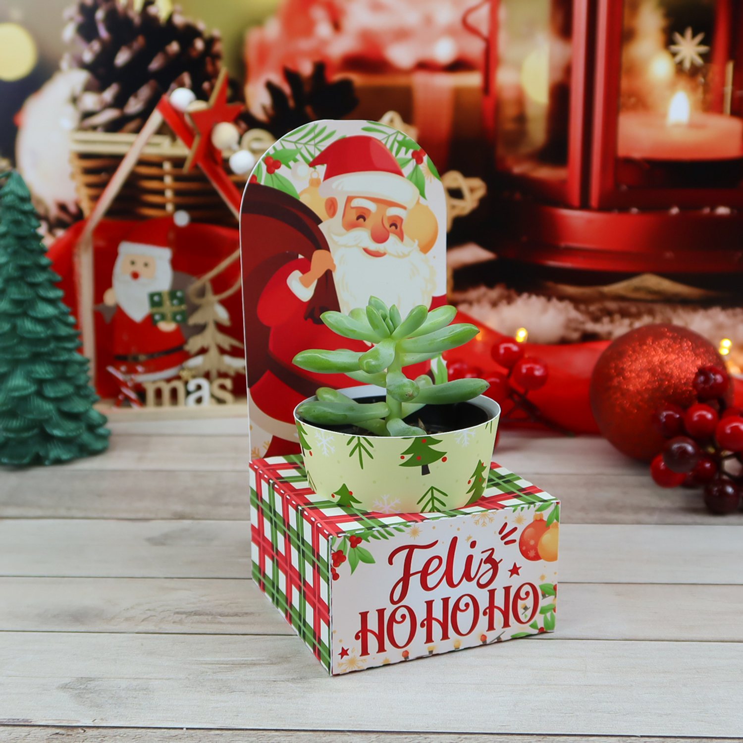 Arquivo Kit Caixas Suculentas Mimo De Natal - Chuvinha De Papel 4