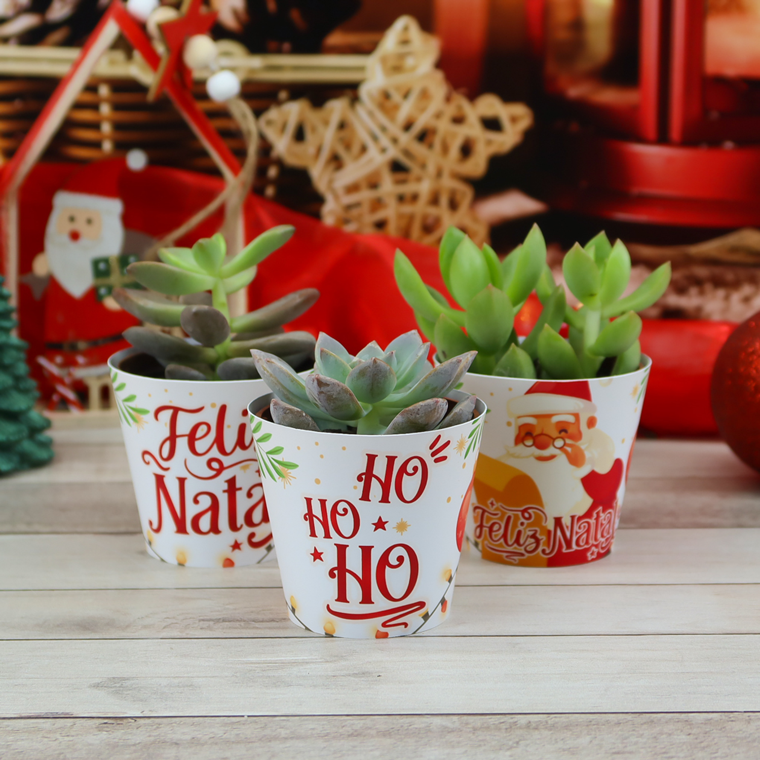 Arquivo Kit Caixas Suculentas Mimo De Natal - Chuvinha De Papel 5