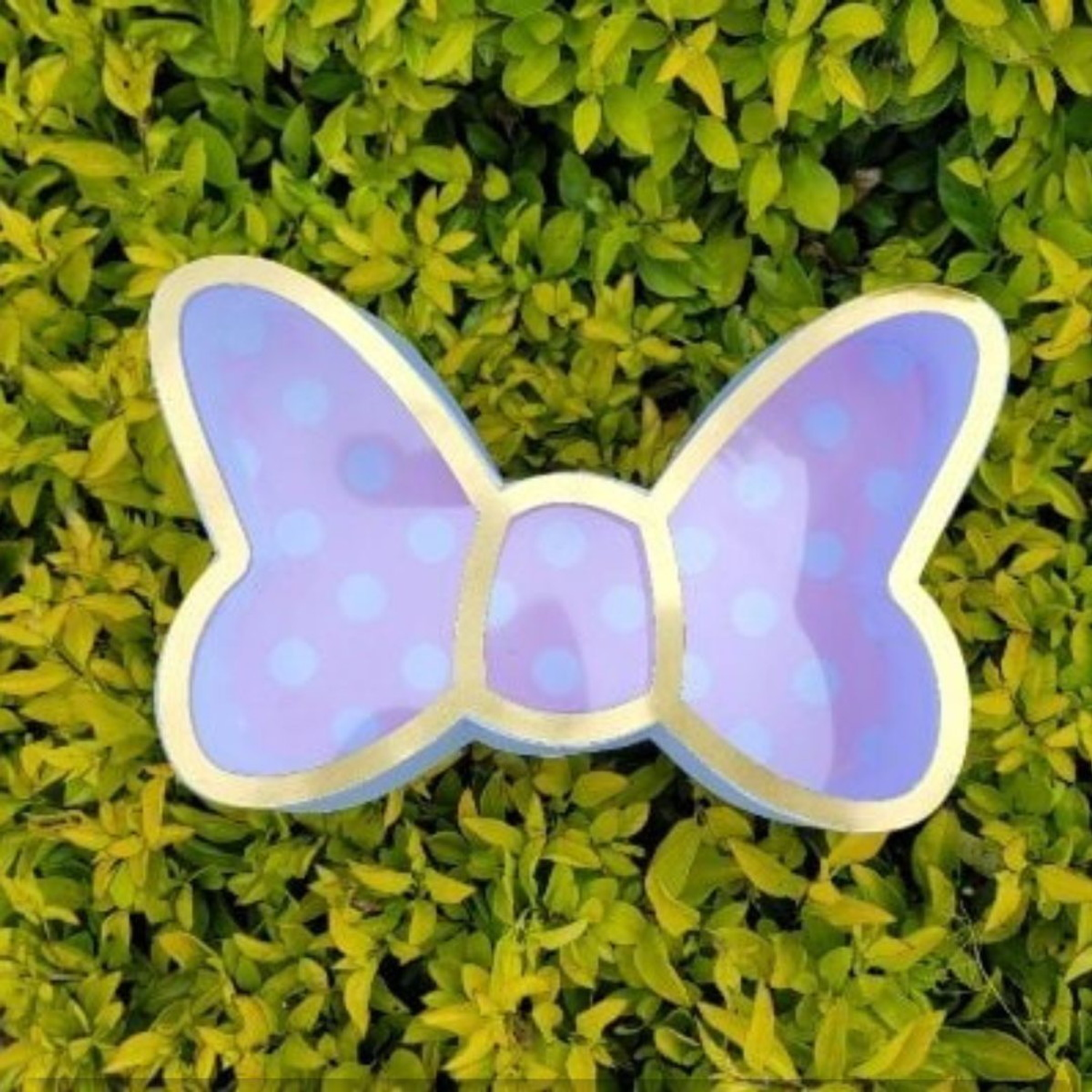 Arquivo Arquivo Caixa Laço Molde Limpo