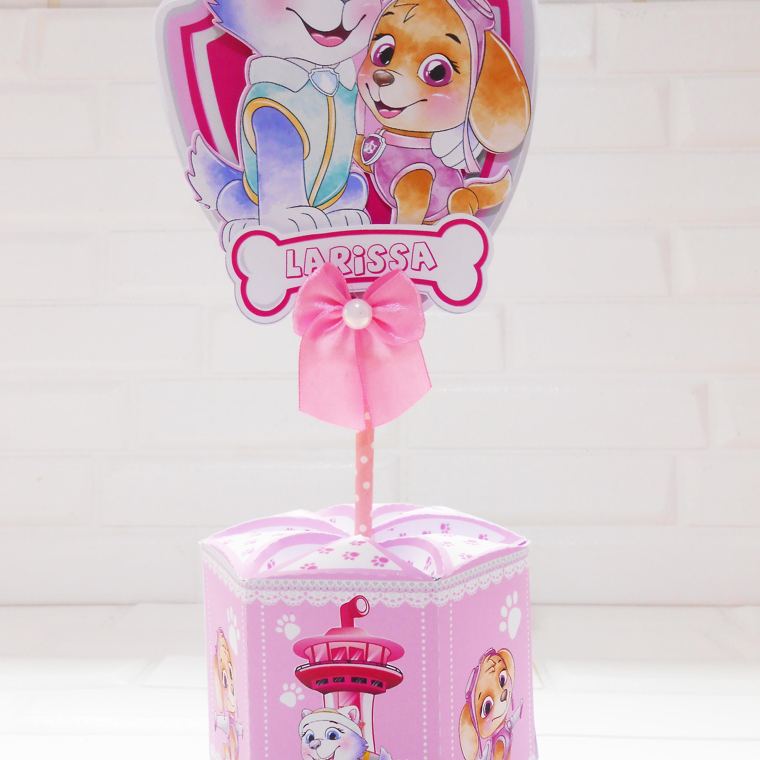 Arquivo Skye e Everest - Criarte 4