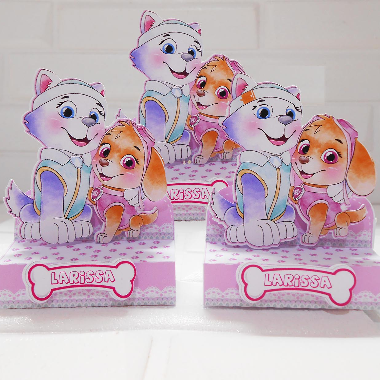 Arquivo Skye e Everest - Criarte 7