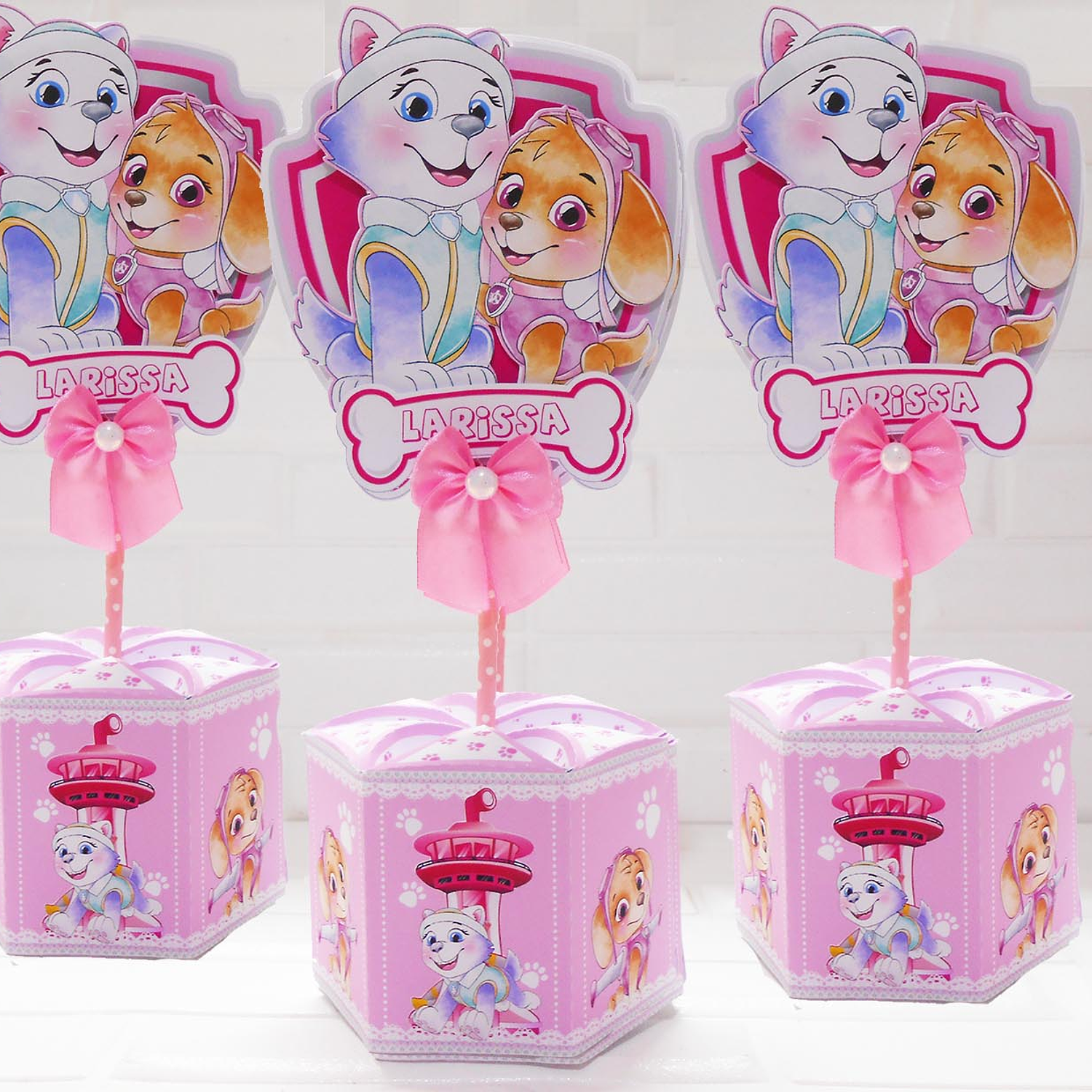 Arquivo Skye e Everest - Criarte 8