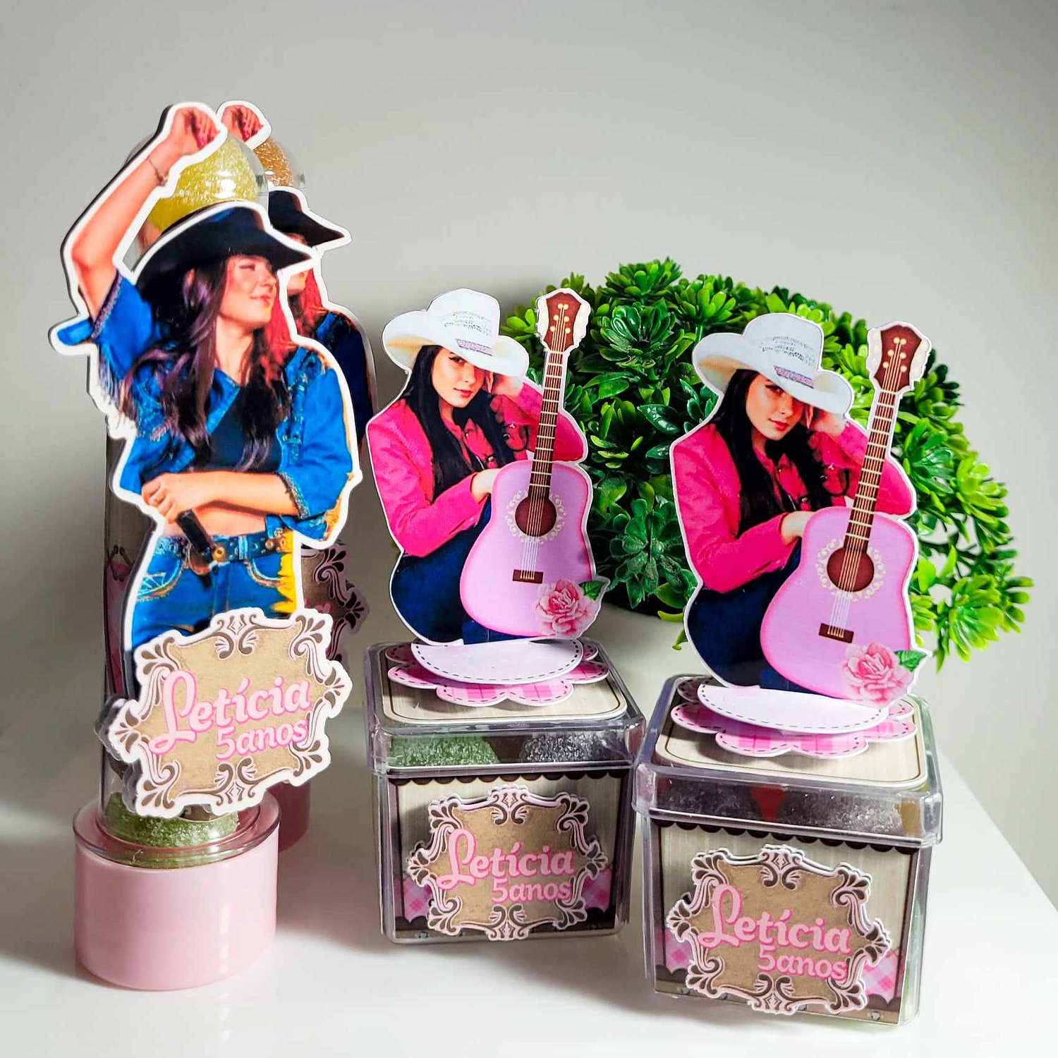 Arquivo Ana Castela 1 8