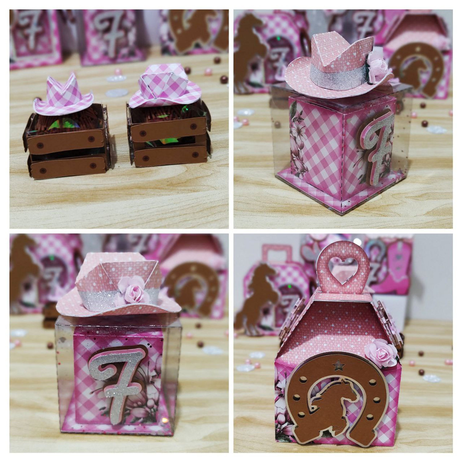 Arquivo Ana Castela Boiadeira Clean 4