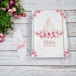 Arquivo Encadernação Biblia Católica Ilustrada