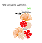 Arquivo Topo Folha Ginkgo - Thumbnail 2