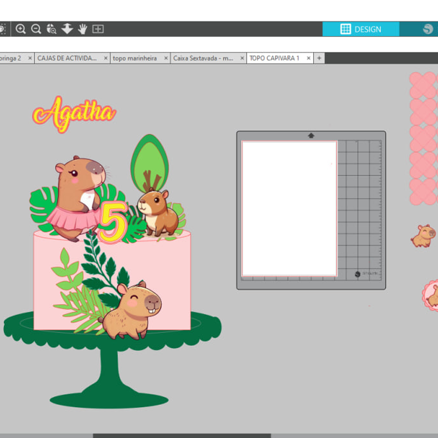 Arquivo Topo Capivara 1 3