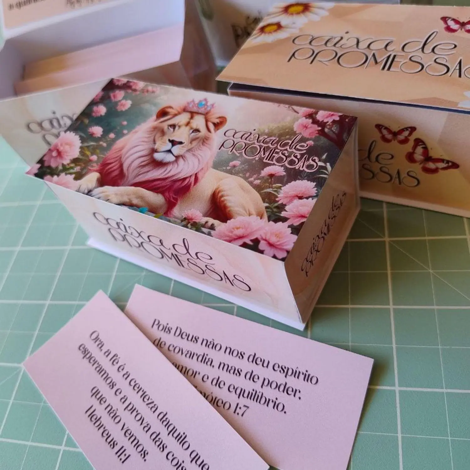 Arquivo Caixa Promessas Bíblicas Femenina  - Perfeita arte  4