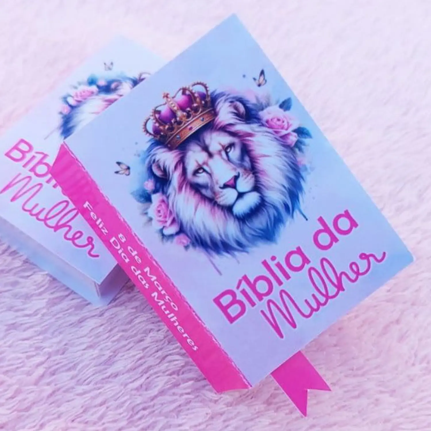 Caixa Bíblia Bis Dia da Mulher 5