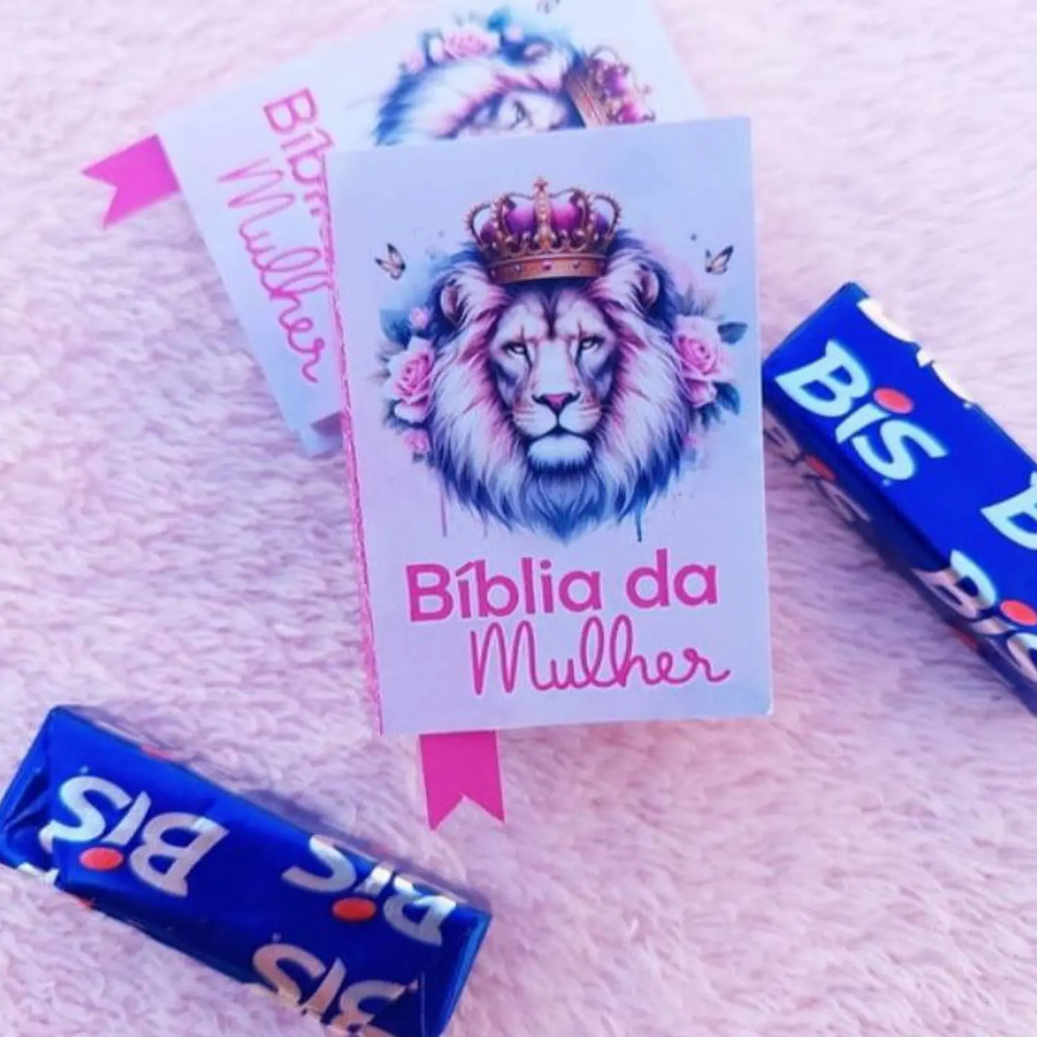 Caixa Bíblia Bis Dia da Mulher 6