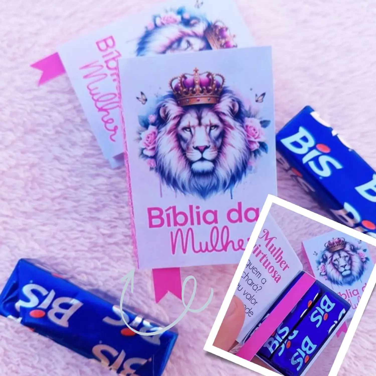 Caixa Bíblia Bis Dia da Mulher 2