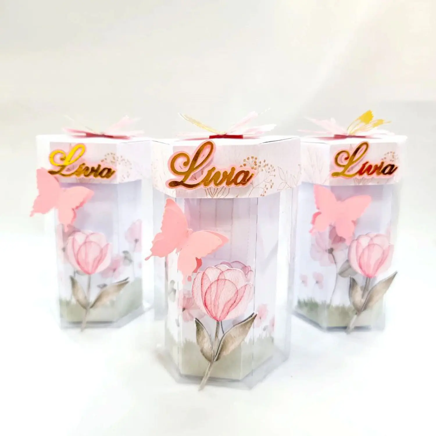 Arquivo Jardim Clean Caixas De Luxo  4