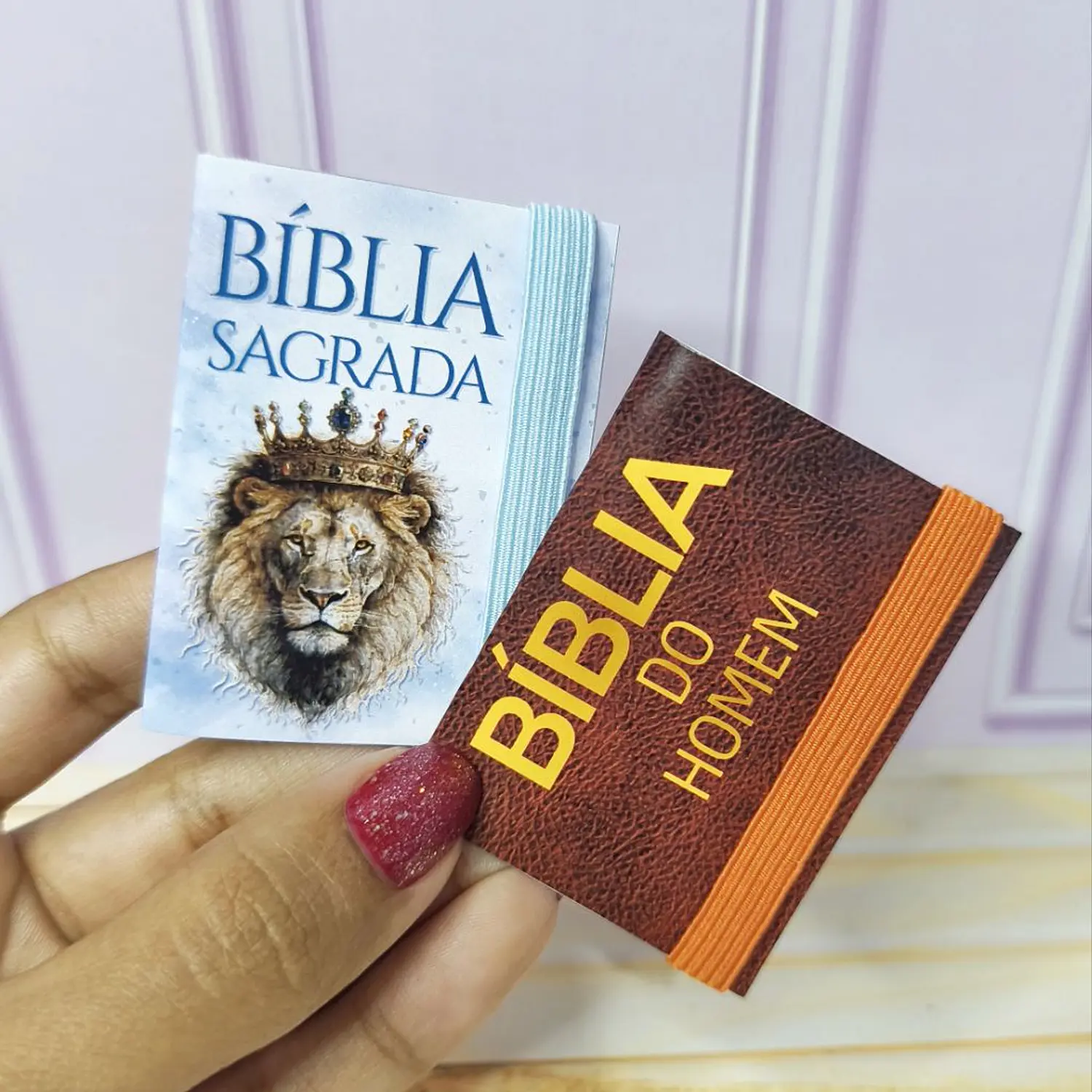 Arquivo Bíblia Chaveiro 5