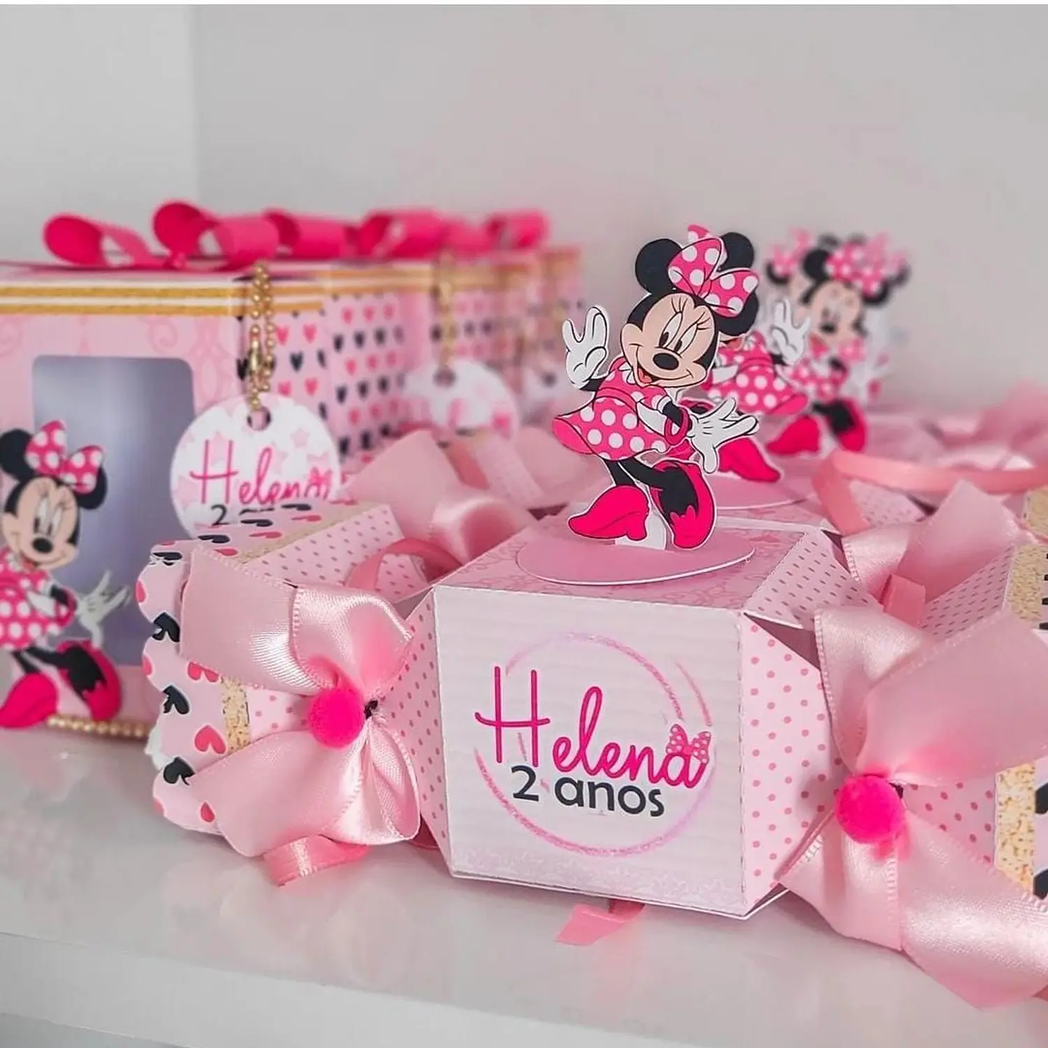 Arquivo Minnie Rosa  4