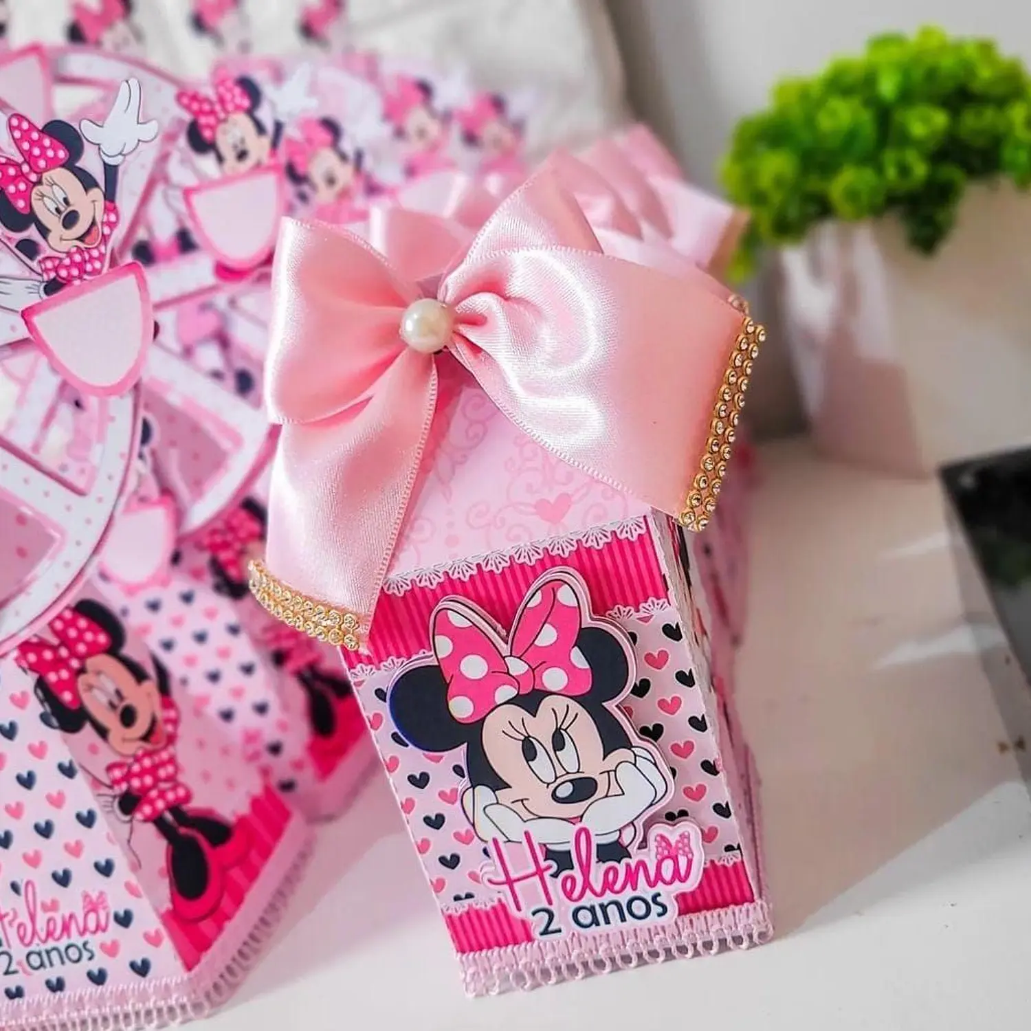 Arquivo Minnie Rosa  5
