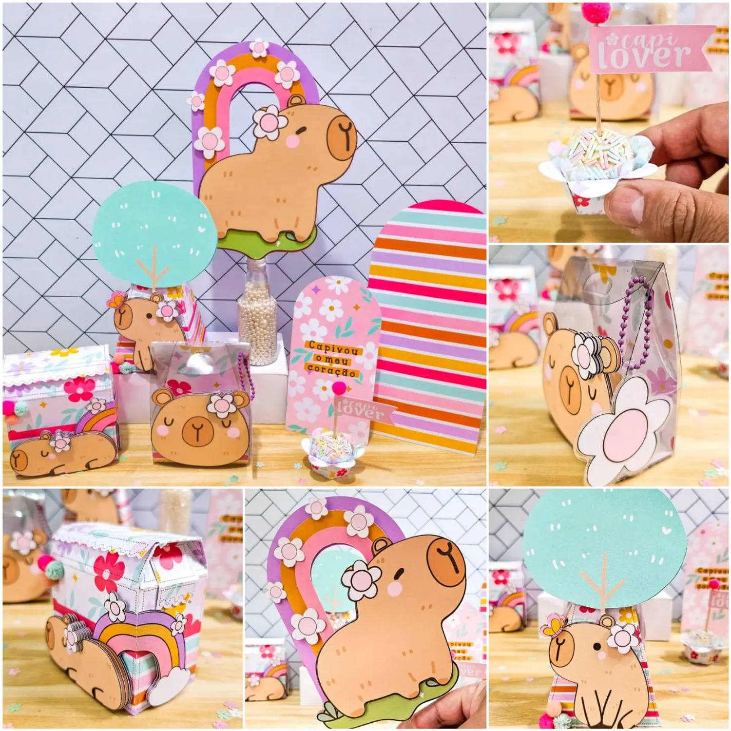 Arquivo Capivara - Descomplica 2