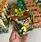 Arquivo Dinossauro - Pdf e Studio - thumbnail 7