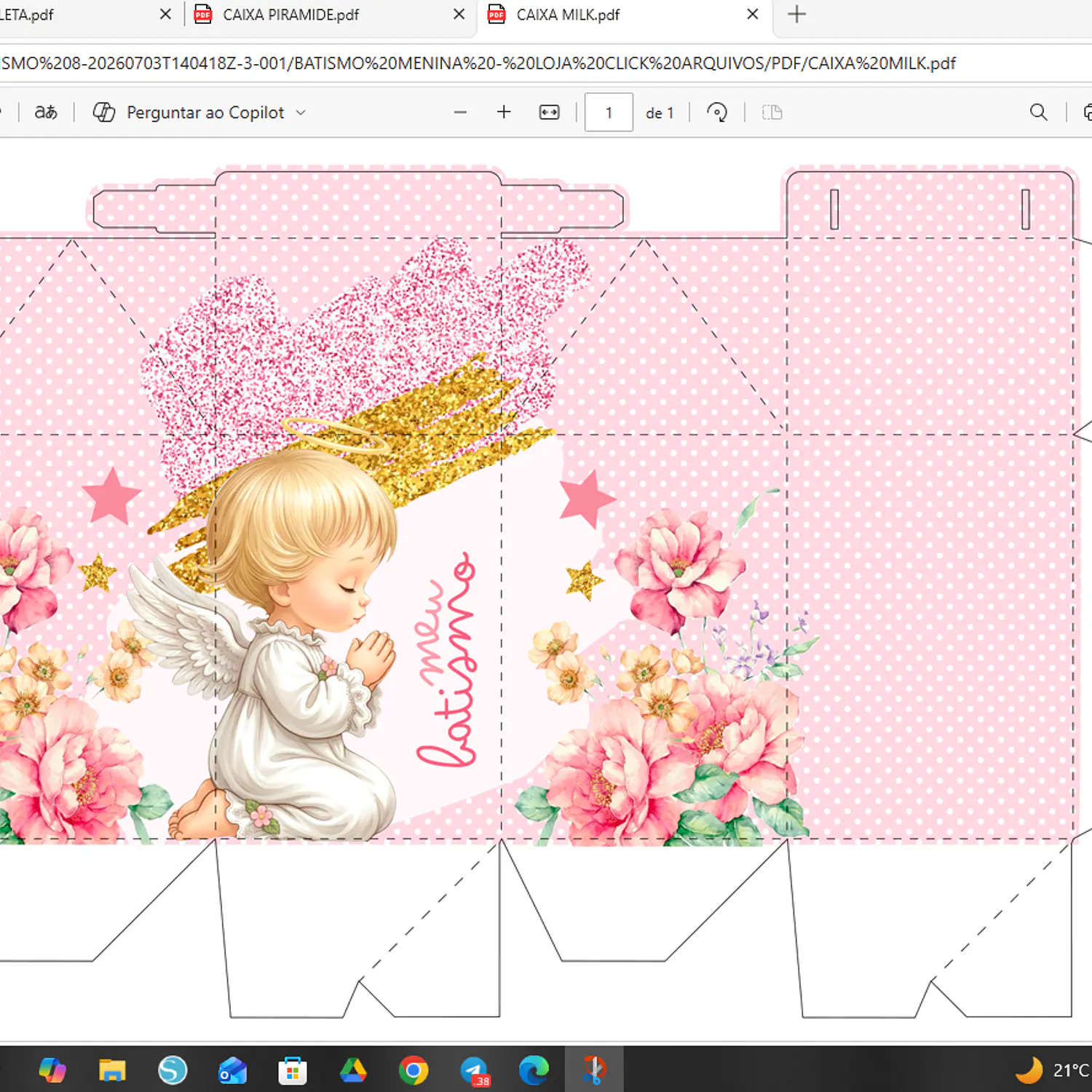 Arquivo Batismo Menina - Pdf e Studio - Criar bv 2