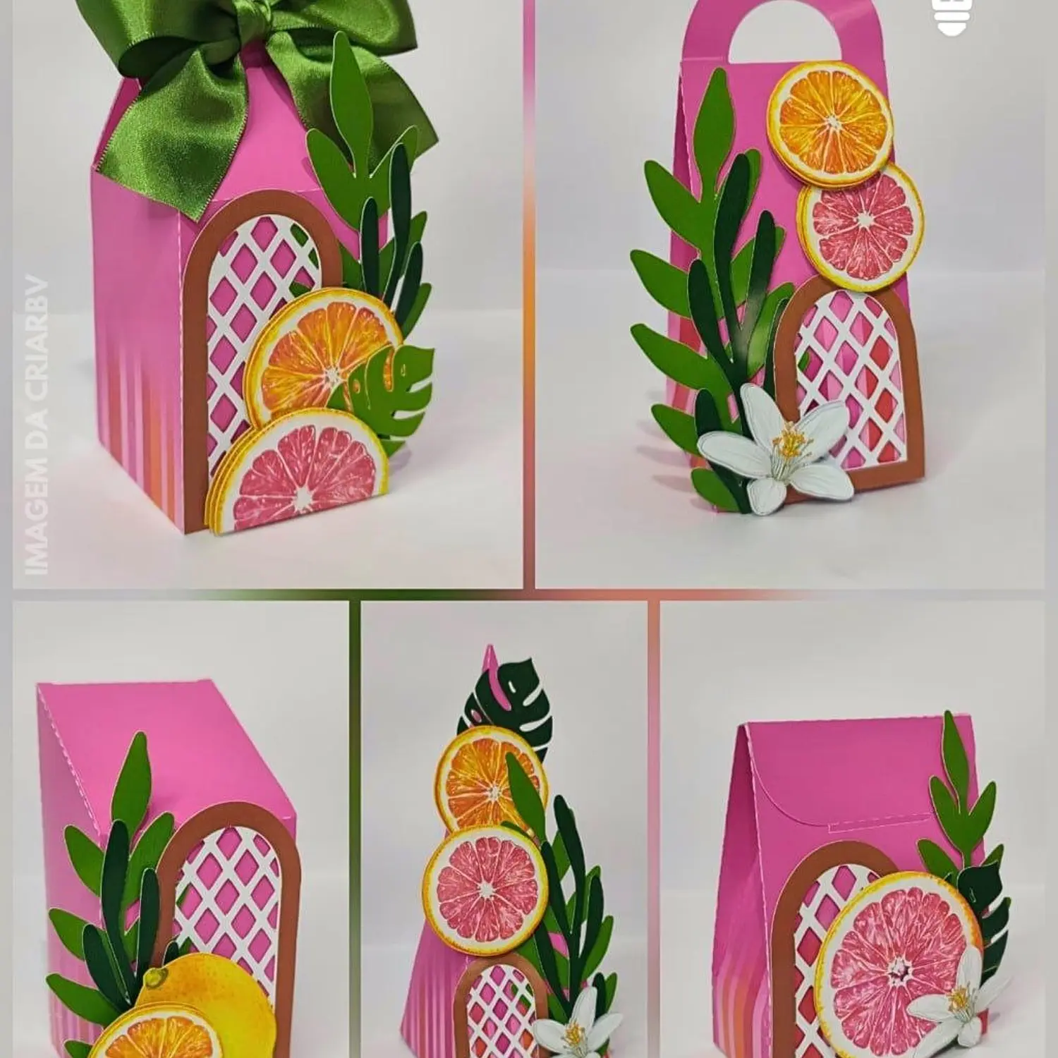 Arquivo Frutas Cítricas e Limão - Pdf e Studio - Criar bv 2