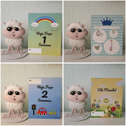 Kit Registo Primeiro Ano do Bebé - 30 Cartões (Modelos Menina e Menino)