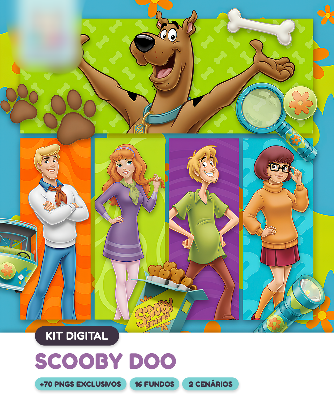 Scooby Doo - Kit Digital 1
