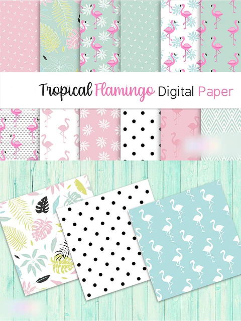 Flamingos - Kit Digital