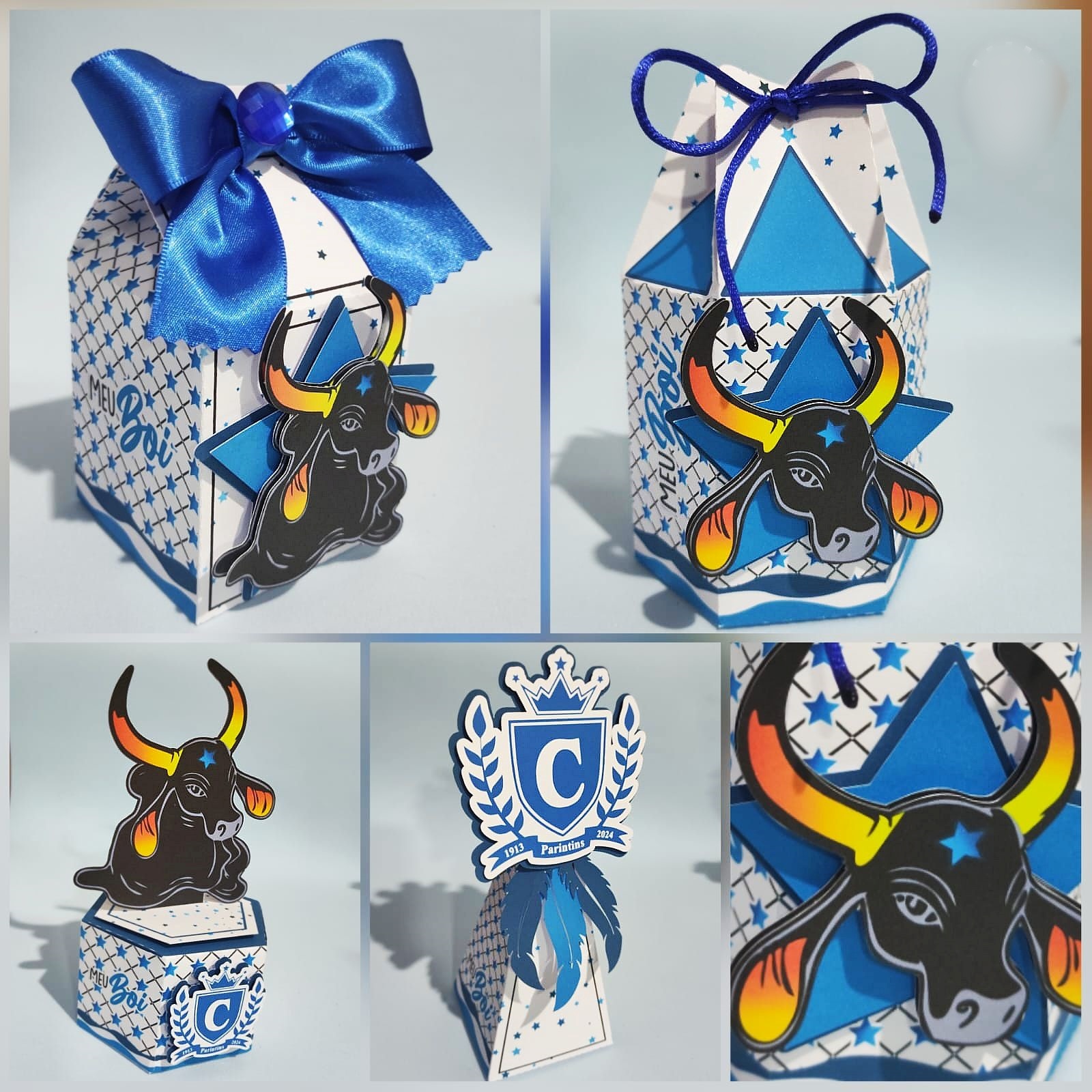 Boi Caprichoso - Arquivo de Corte / Festa 1