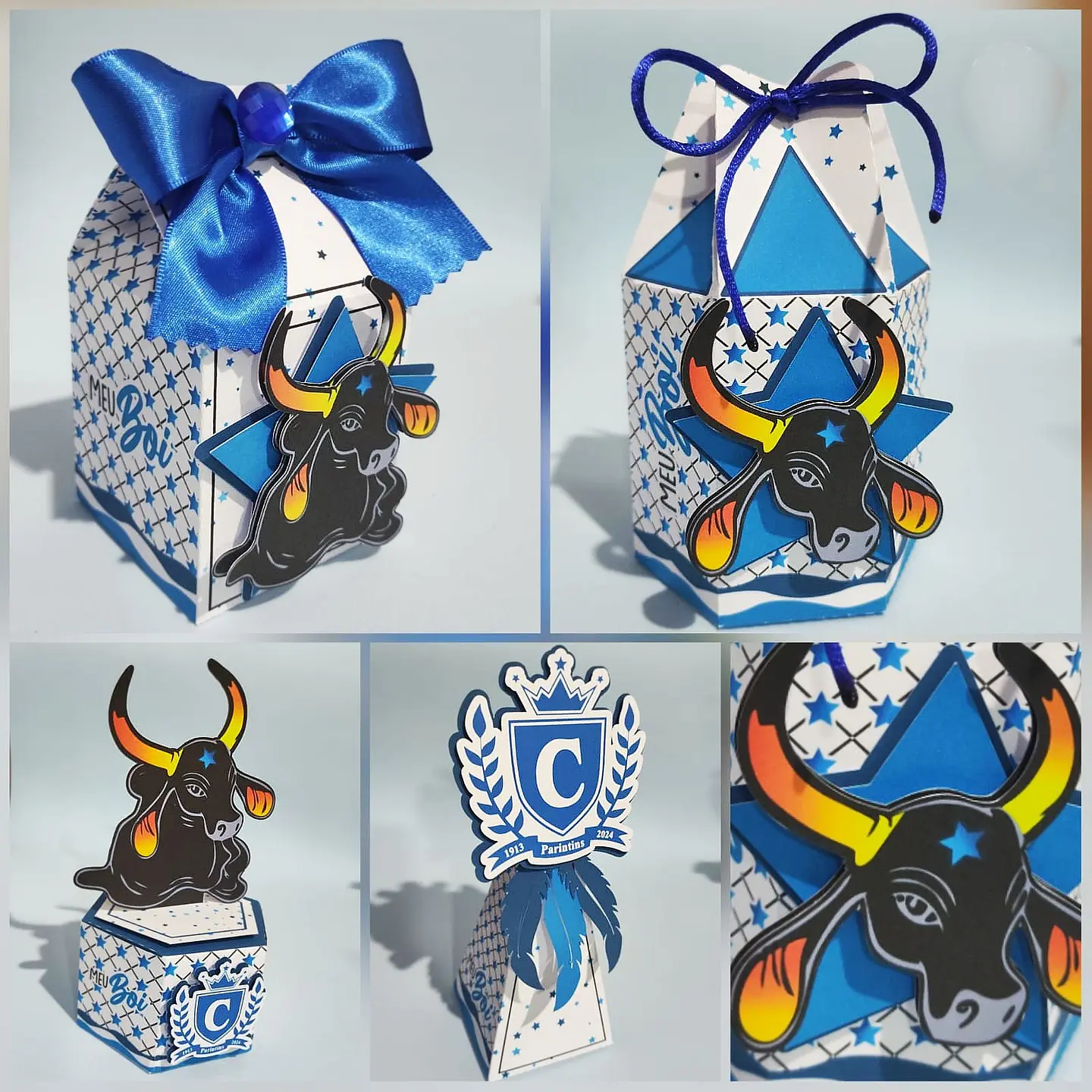 Boi Caprichoso - Arquivo de Corte / Festa 1