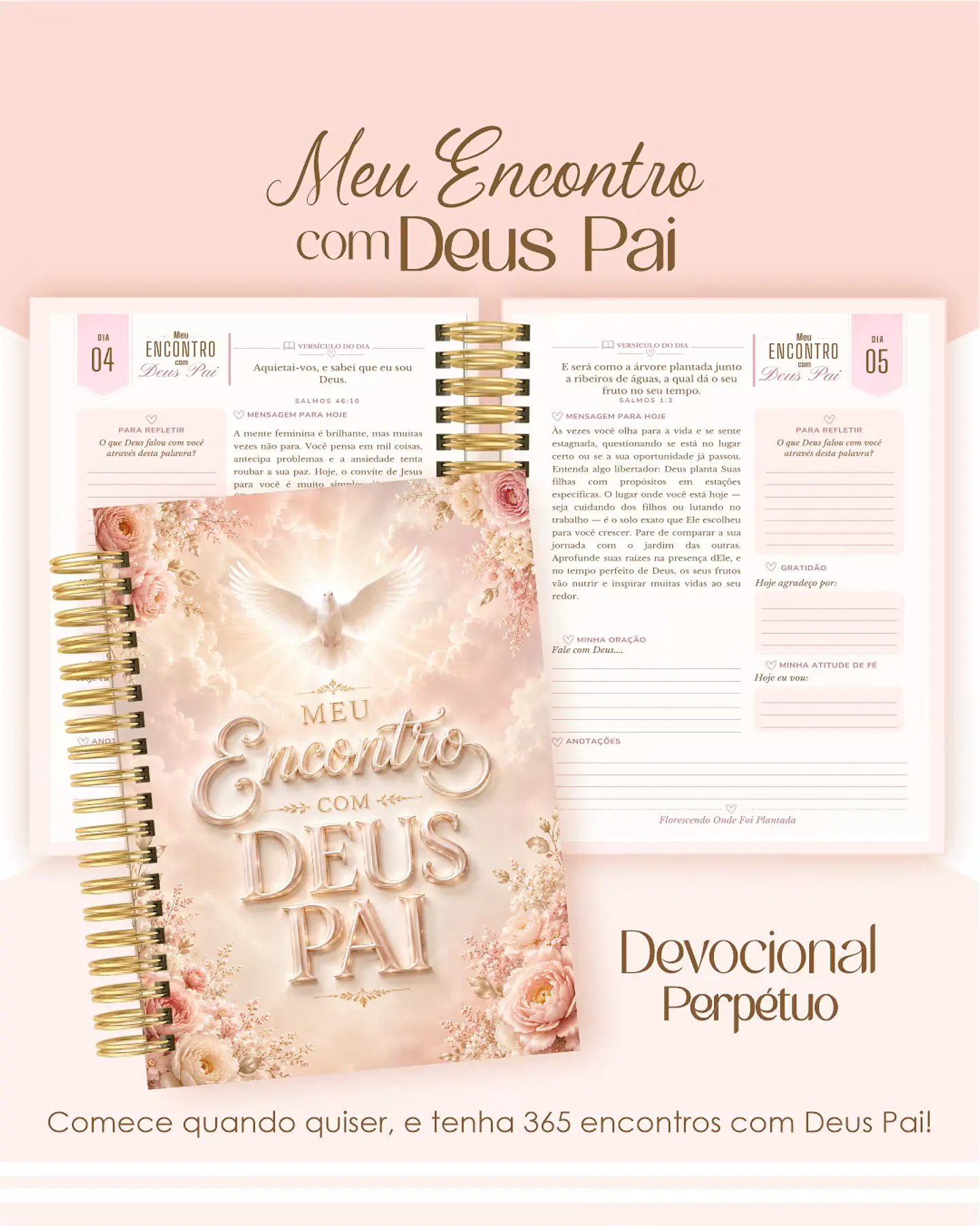 Combo com 18 Devocionais - Meu Encontro com Deus Pai 9