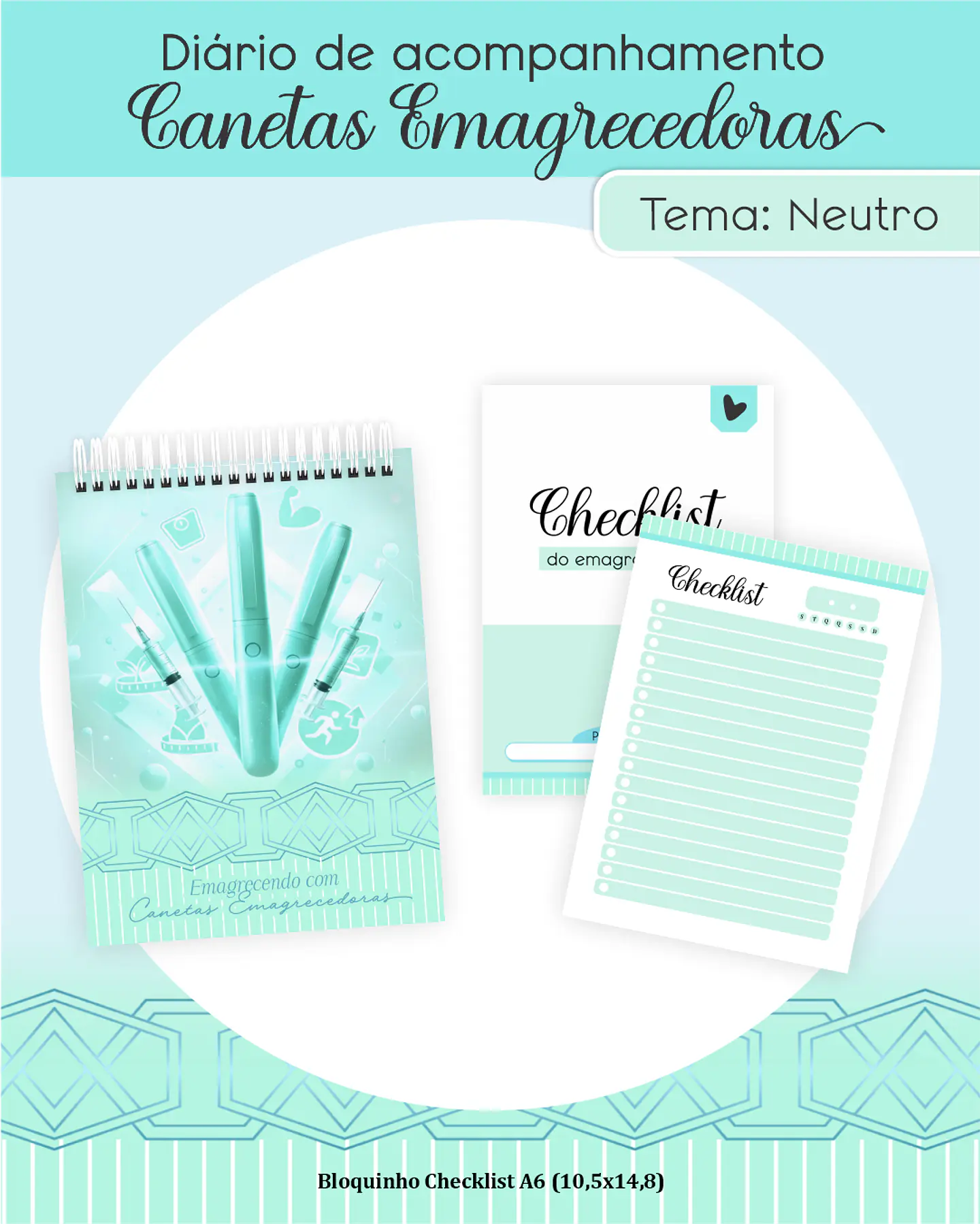Diário de Acompanhamento Canetas Emagrecedoras 2