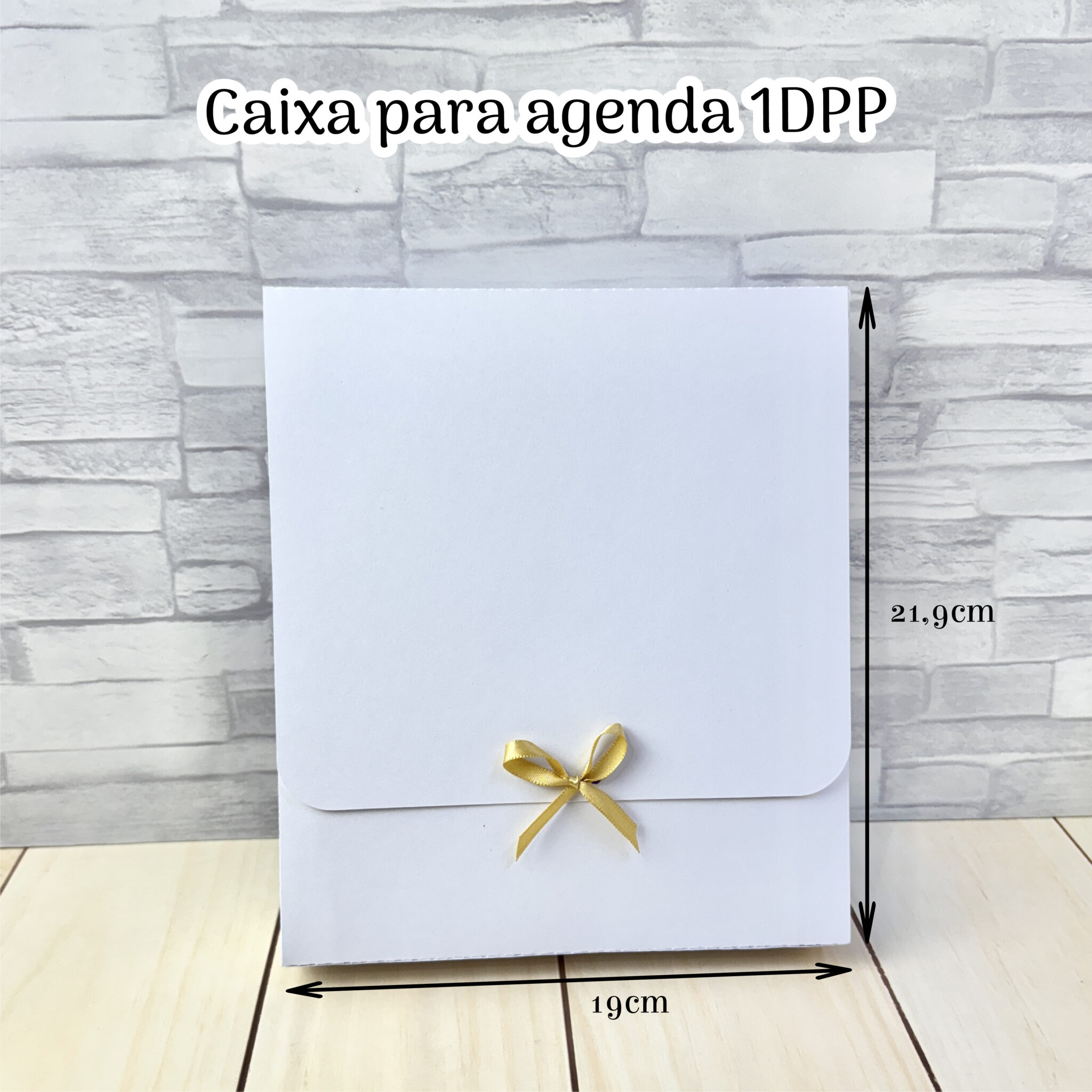 Molde Limpo - Caixa para Agenda 1DPP 1