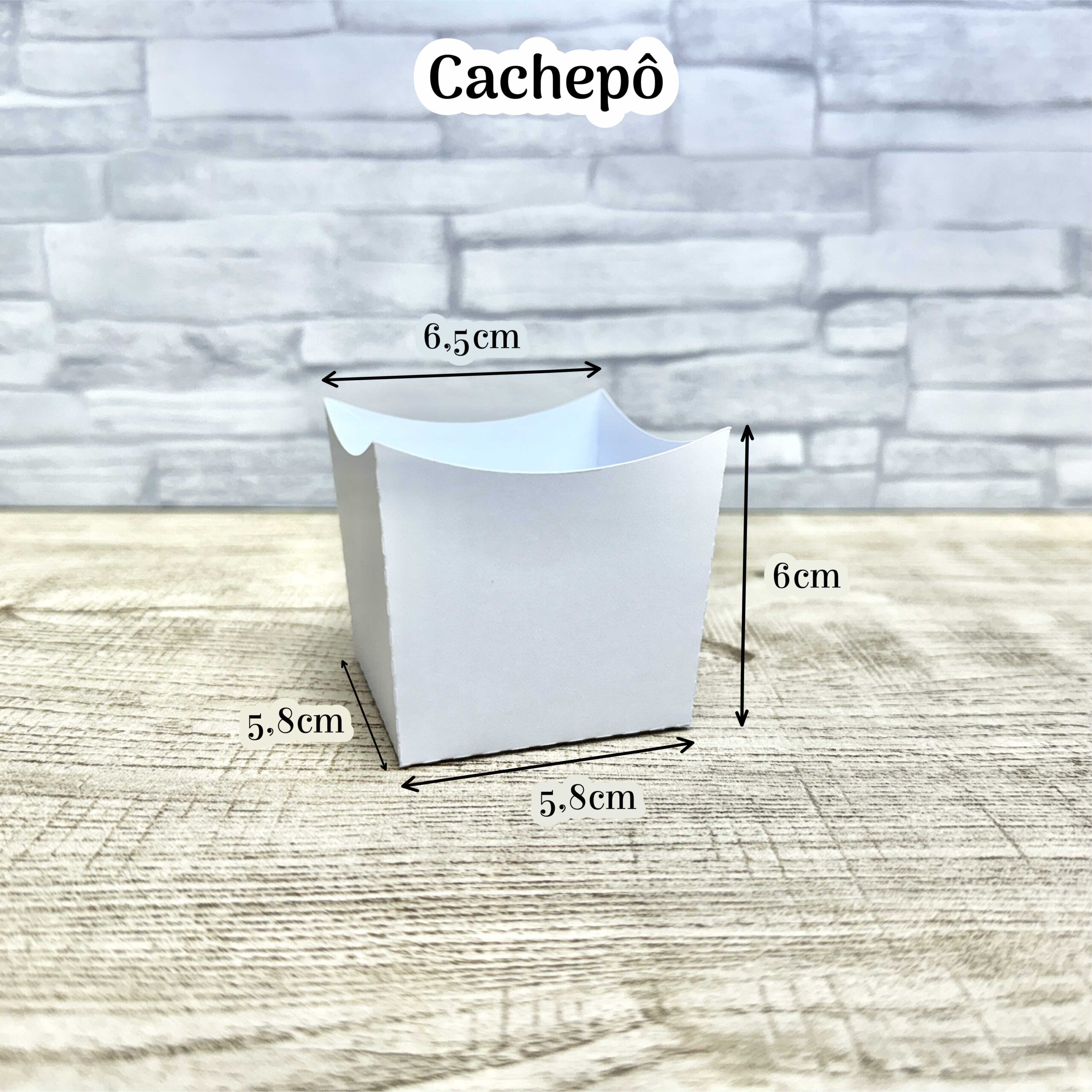 Molde Limpo - Cachepô 1