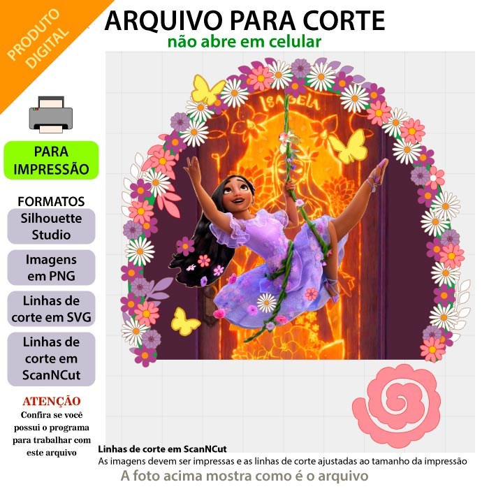 Topo de Bolo - Encanto  1