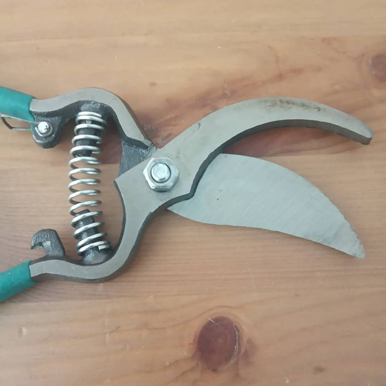 Tesoura de poda 10 polegadas 2