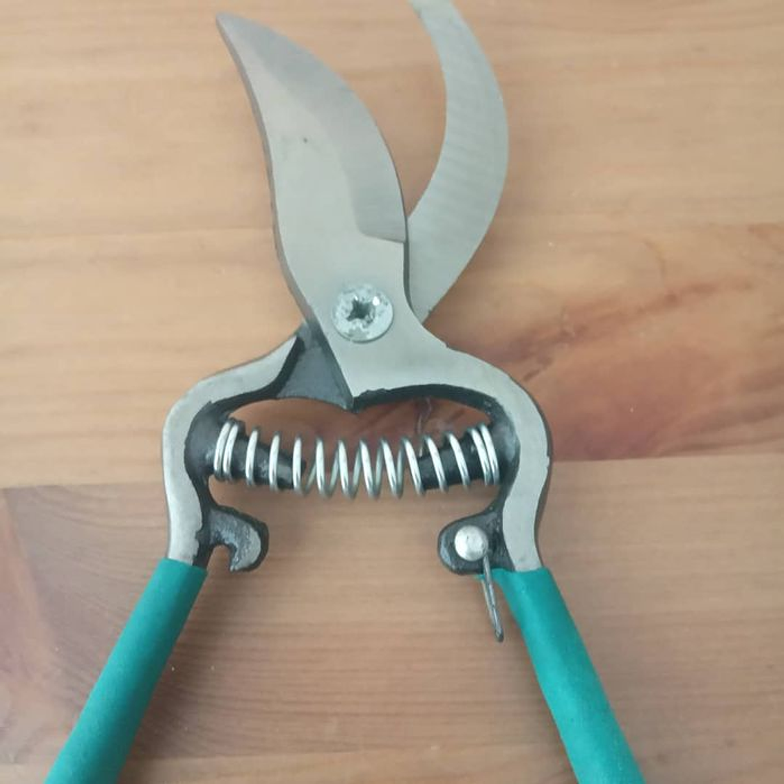 Tesoura de poda 10 polegadas 4