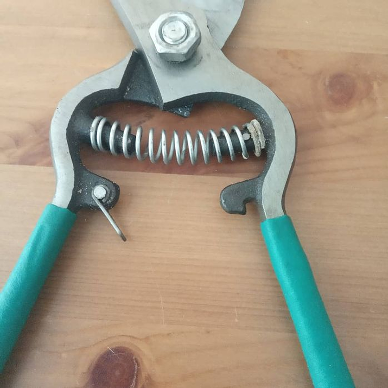 Tesoura de poda 10 polegadas 5