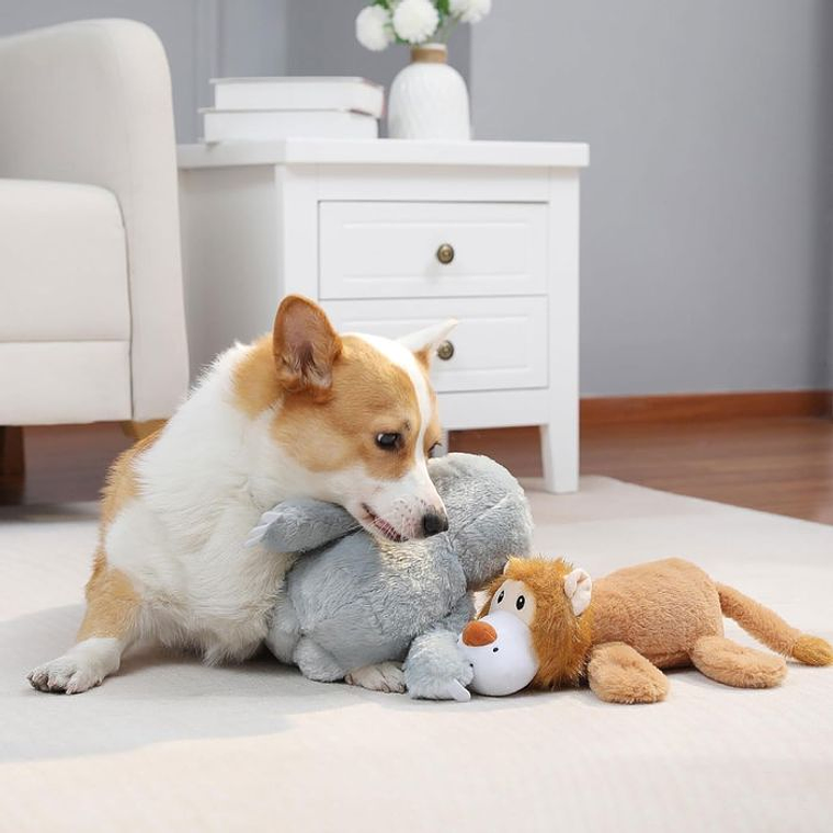 Brinquedo De Cachorro Barulhento 3