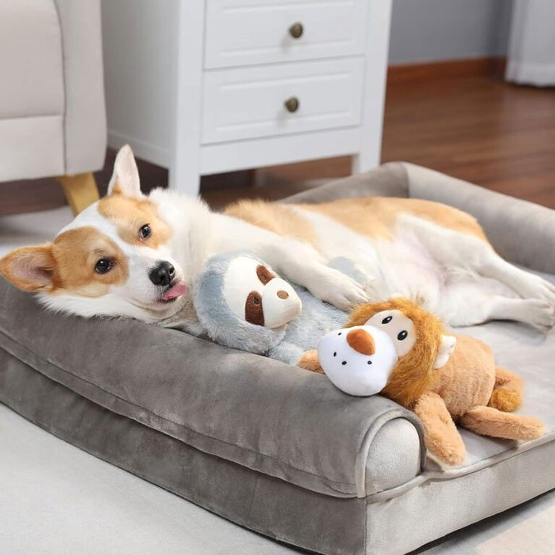 Brinquedo De Cachorro Barulhento 4