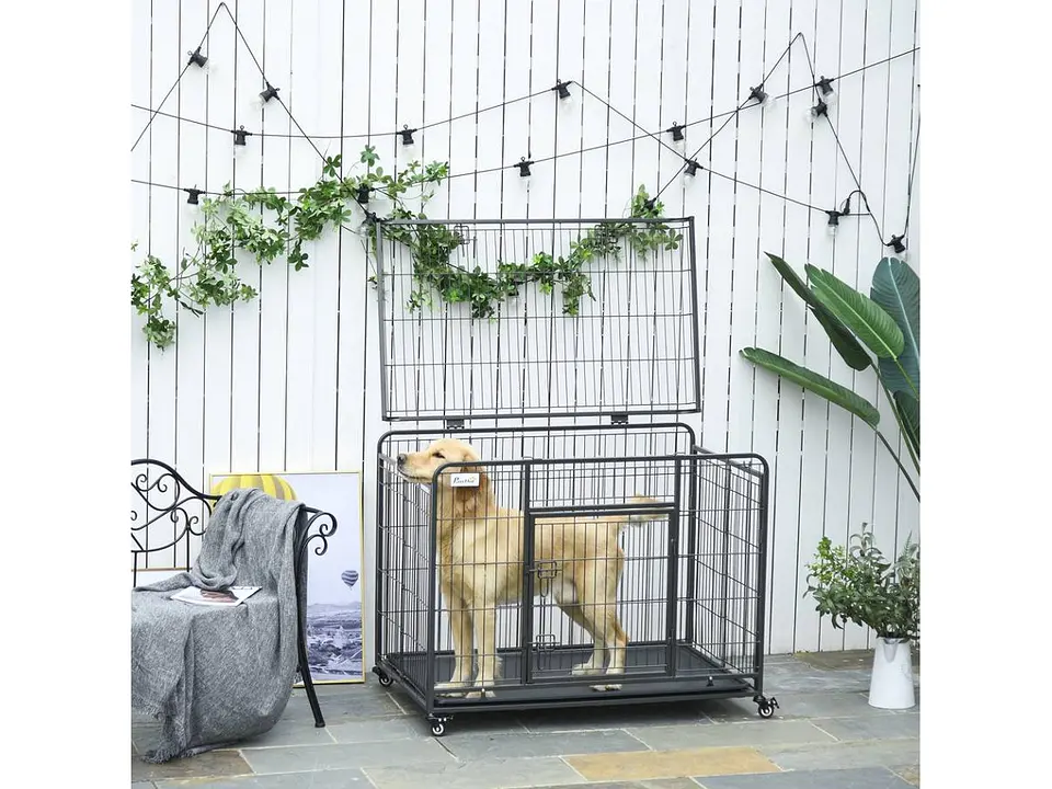 Jaula para transporte de animais  4